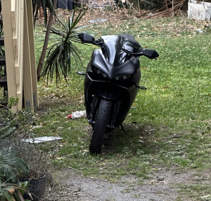 Photography of my neighbour's black motorbike that my brain mistook to be a bull